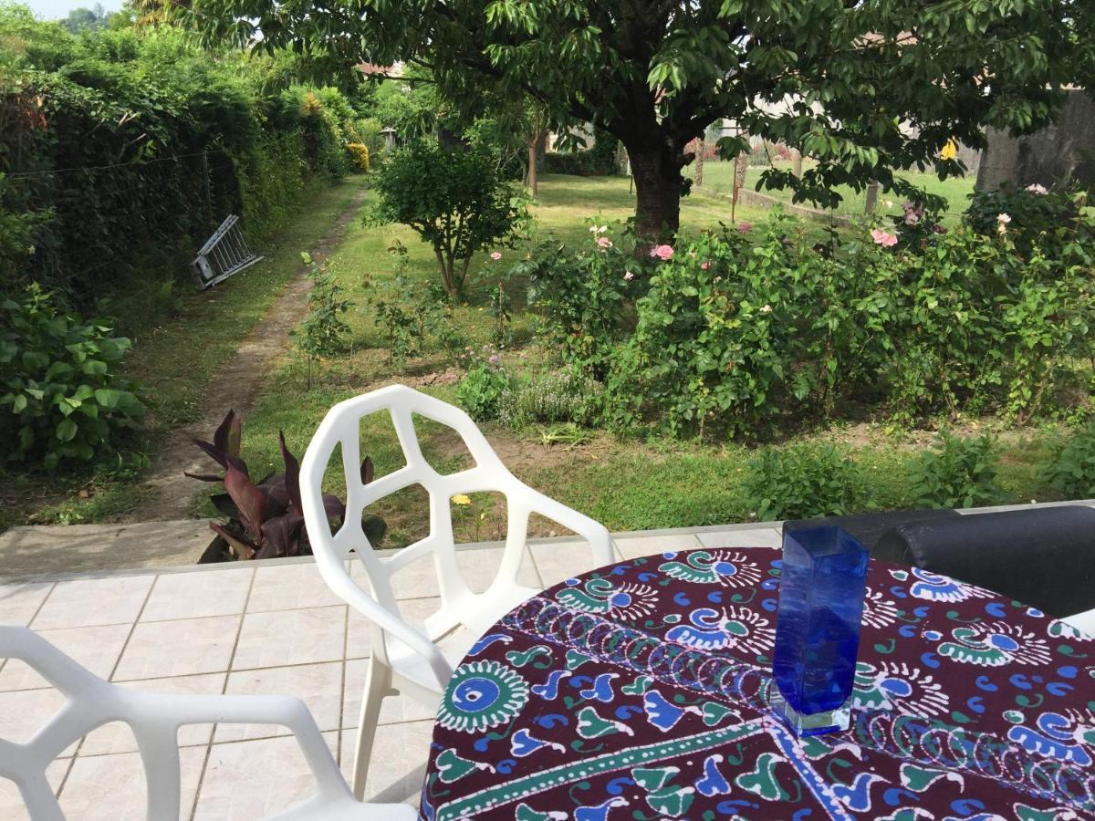 Chambre Chez L'Habitant Orthez Bagian luar foto